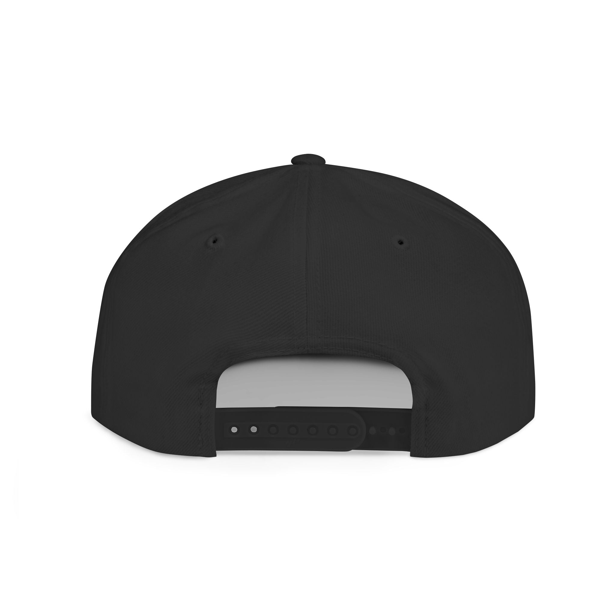 Divided Snapback