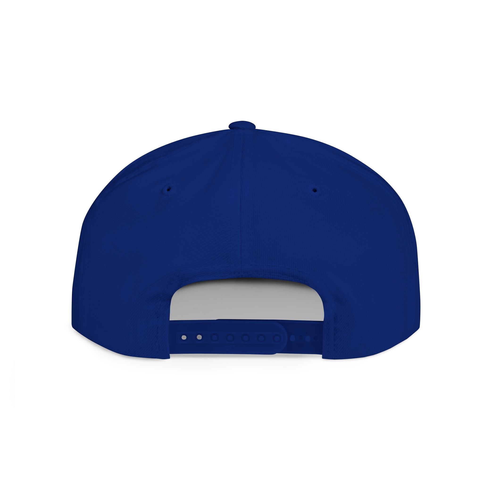 Divided Snapback