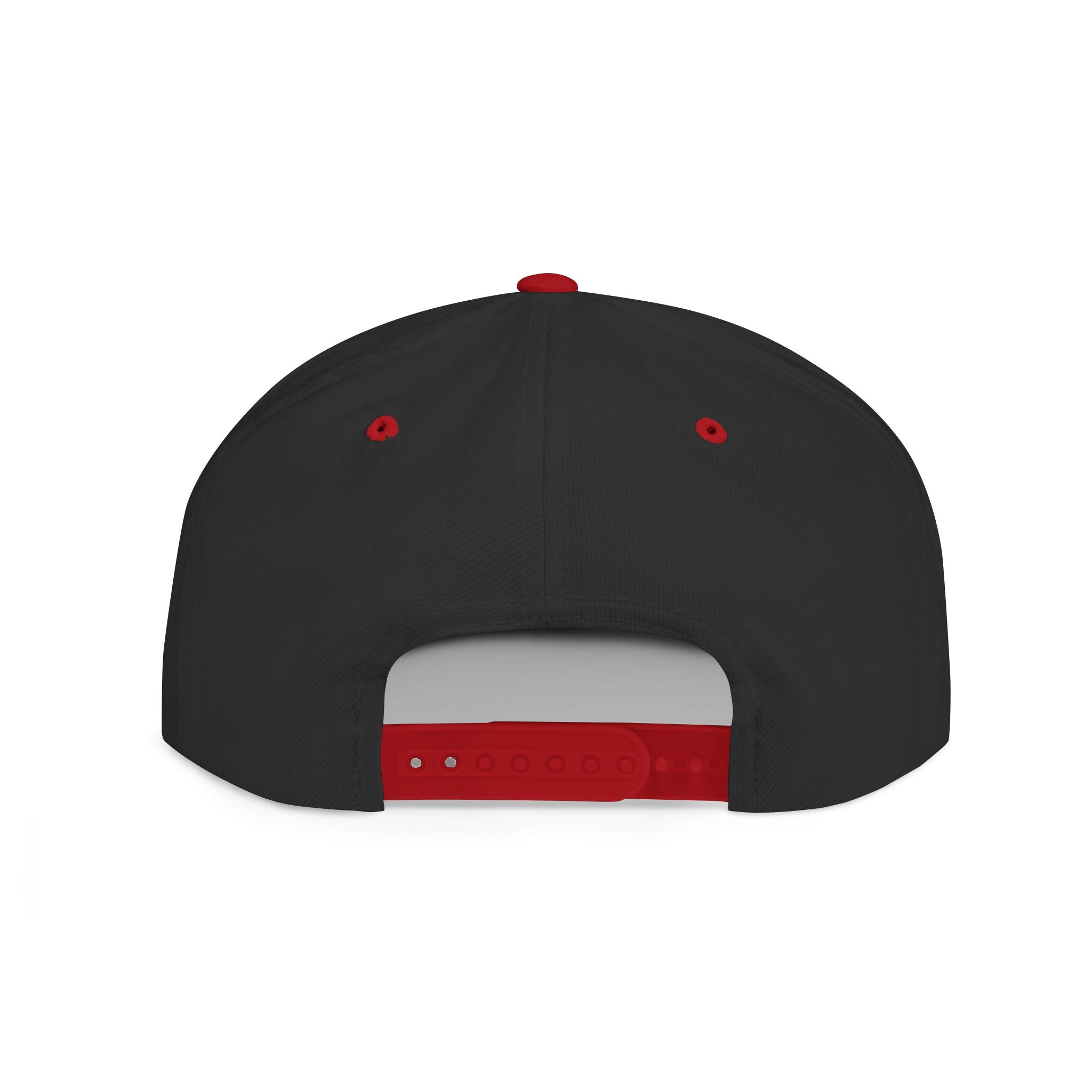 Divided Snapback